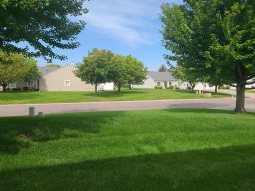 Side Yard