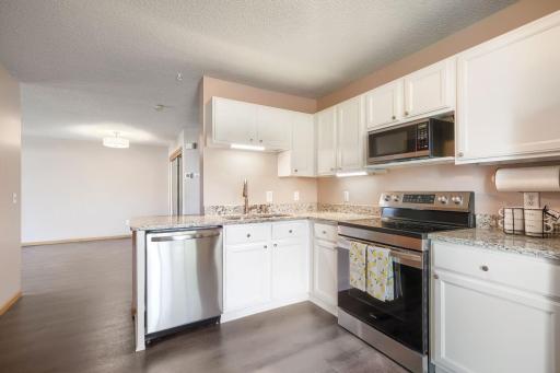 Kitchen | New dishwasher and under cabinet lighting
