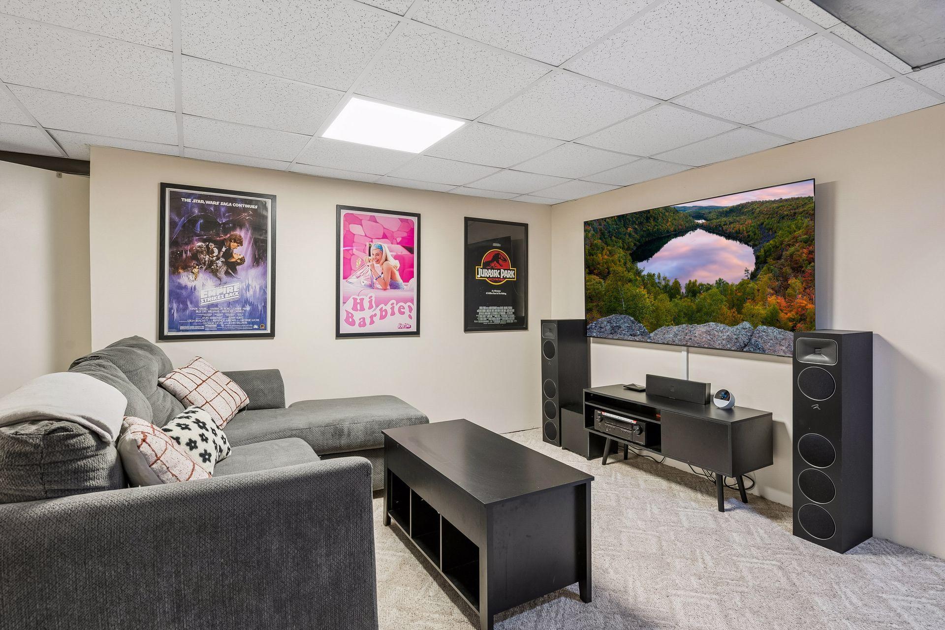 Lower Level Media Room.jpg