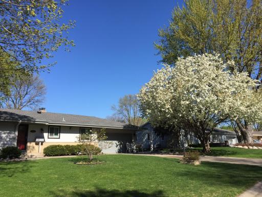 Beautiful lot with mature trees