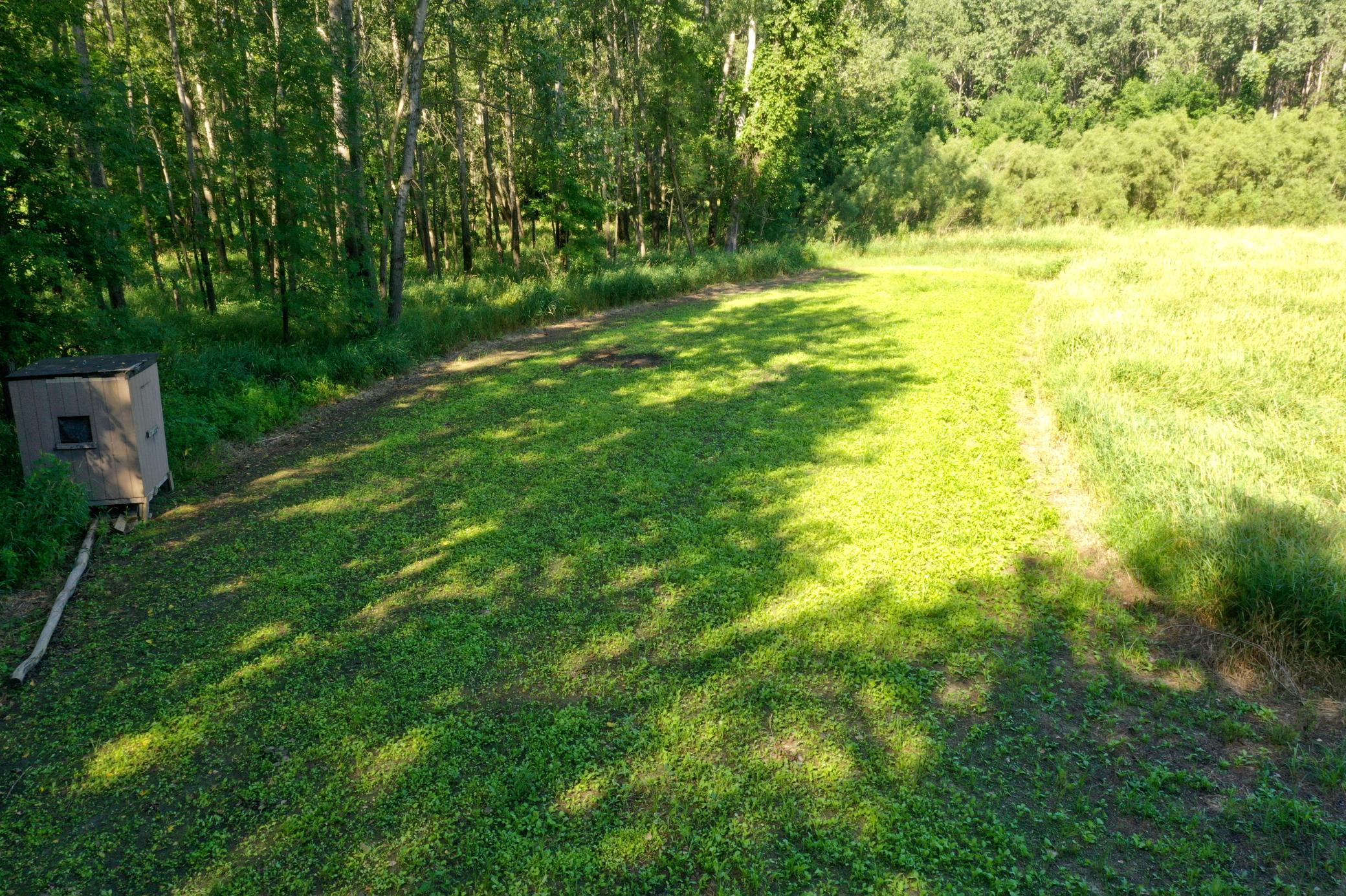 Pic 2.JPG