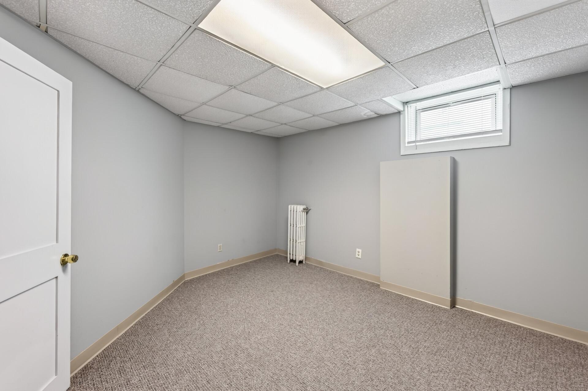Lower Level Flex Room