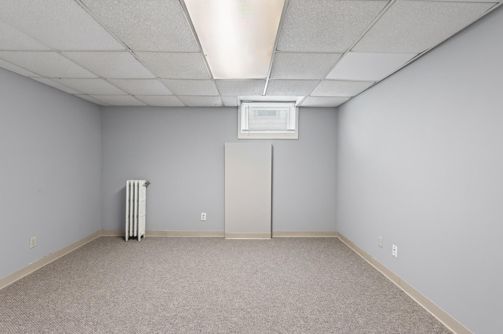 Lower Level Flex Room