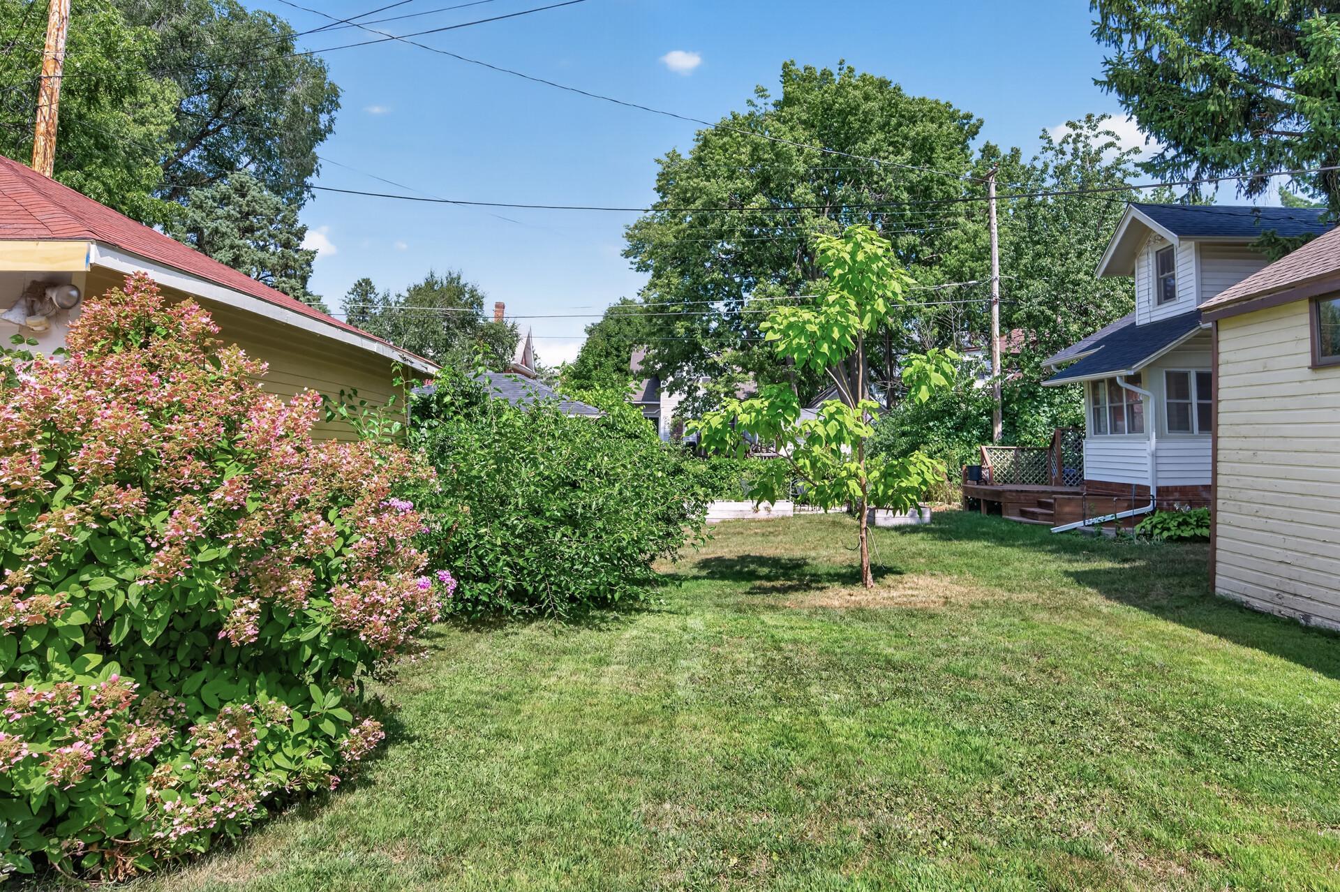 Spacious Backyard