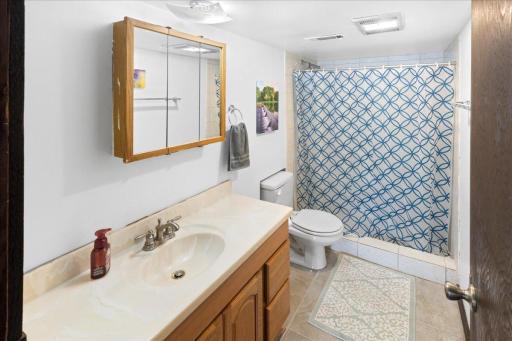 Lower Level Bath