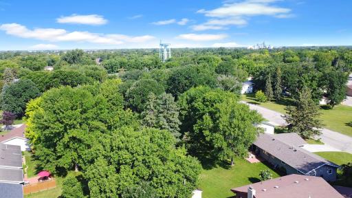 Lions Park