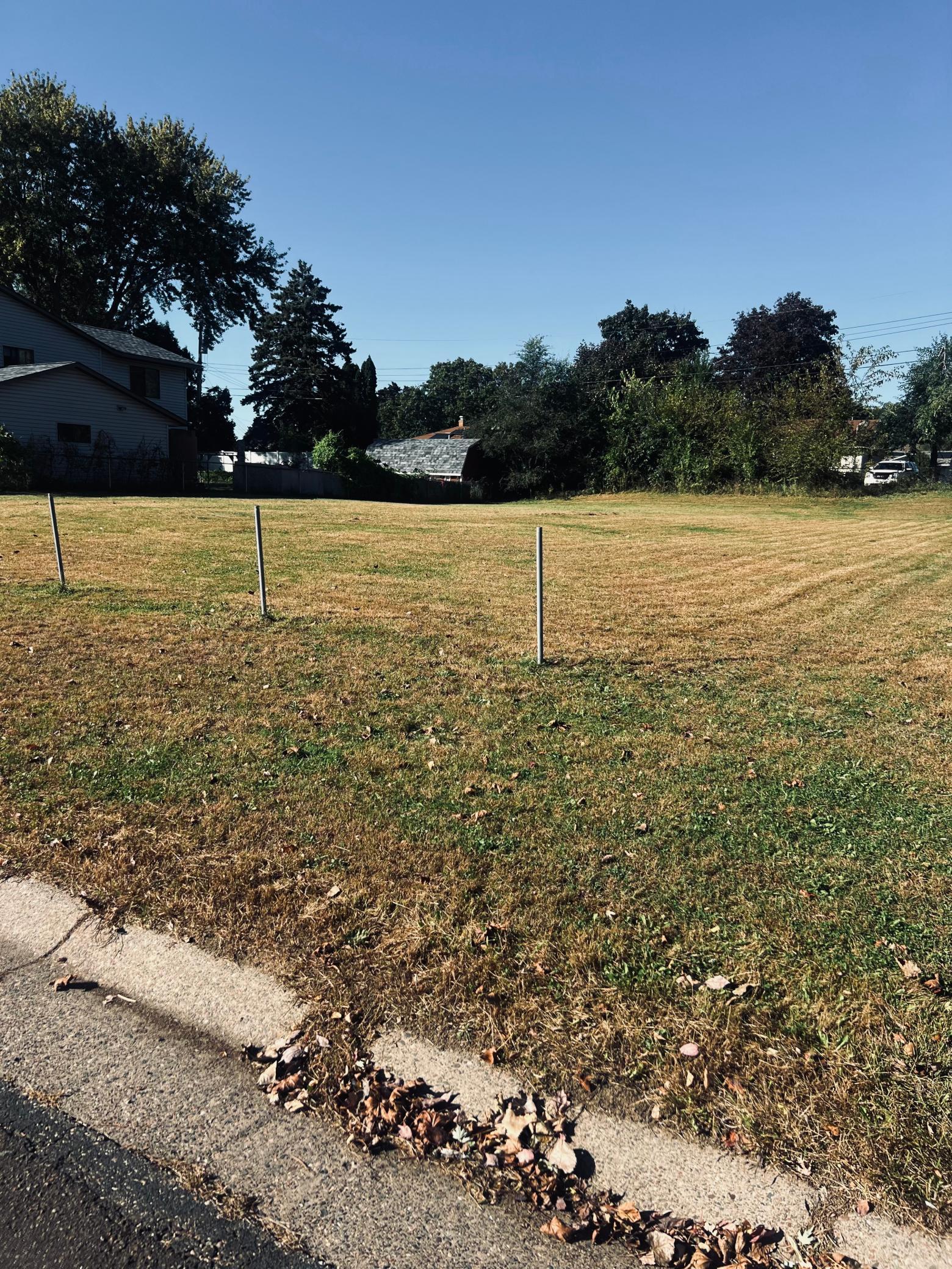 IMG_4206.jpeg