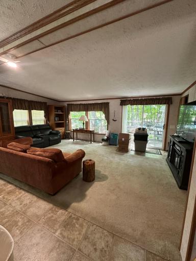 17377 Knieff