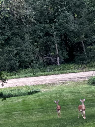 61689 Leaf River Road, Wadena, MN 56482