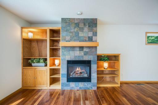 47 Eagle Ridge Trail North Mankato MN-16.jpg