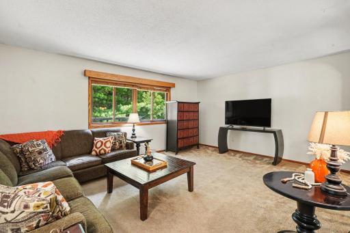536 218th Avenue NE, Cedar, MN 55011