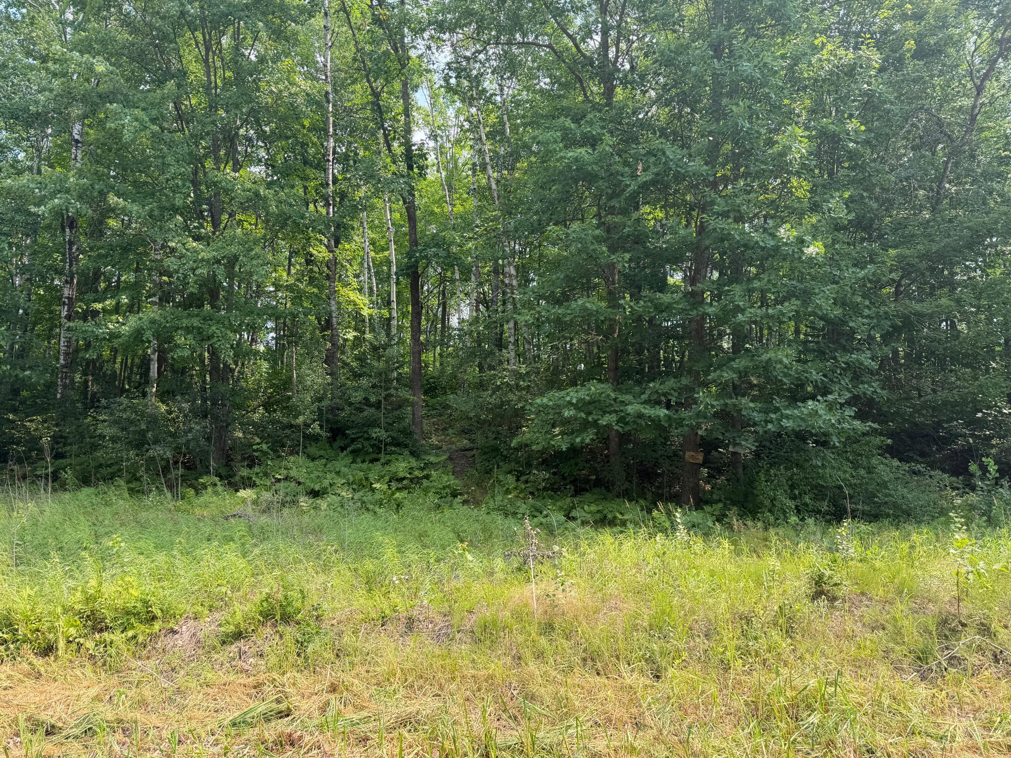 View from Road showing access trail.