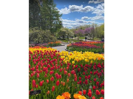 Landscape Arboretum - Just a hop skip and a jump away. Enjoy the myriad of trails and foliage to explore.