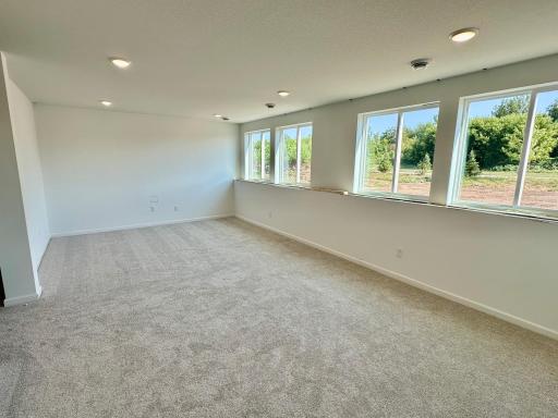 1473 Philipp Way, Shakopee, MN 55379