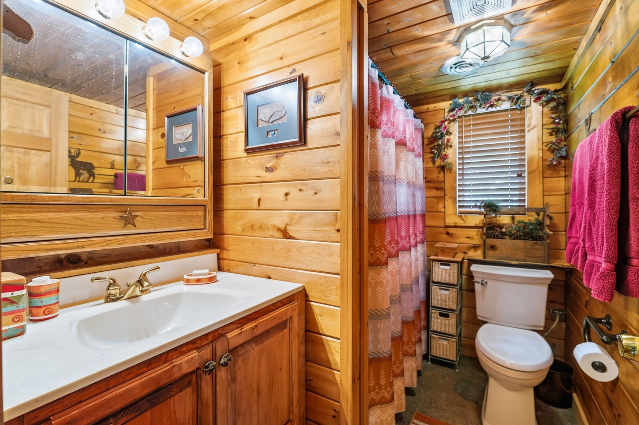 Full lower-level bathroom.