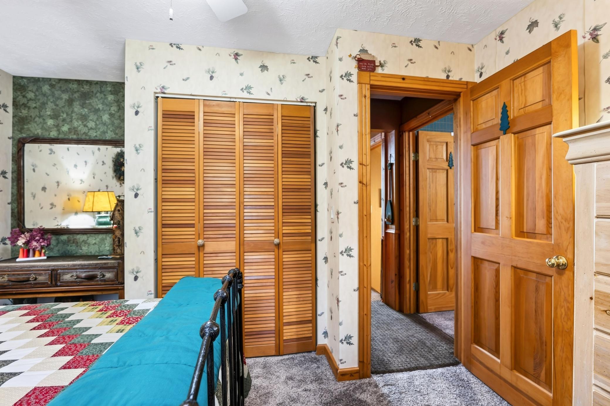 Entrance & closet to second main-level guest bedroom.