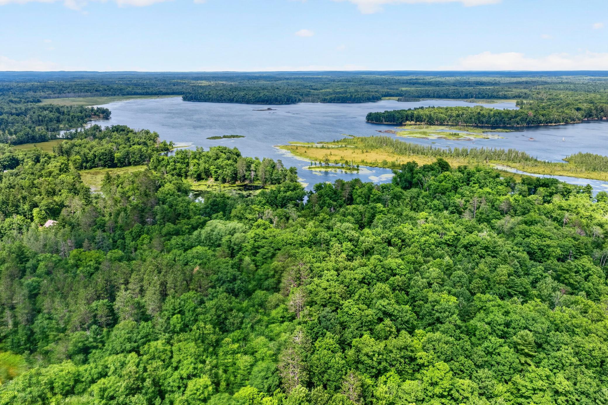 Woods & Lake Callahan