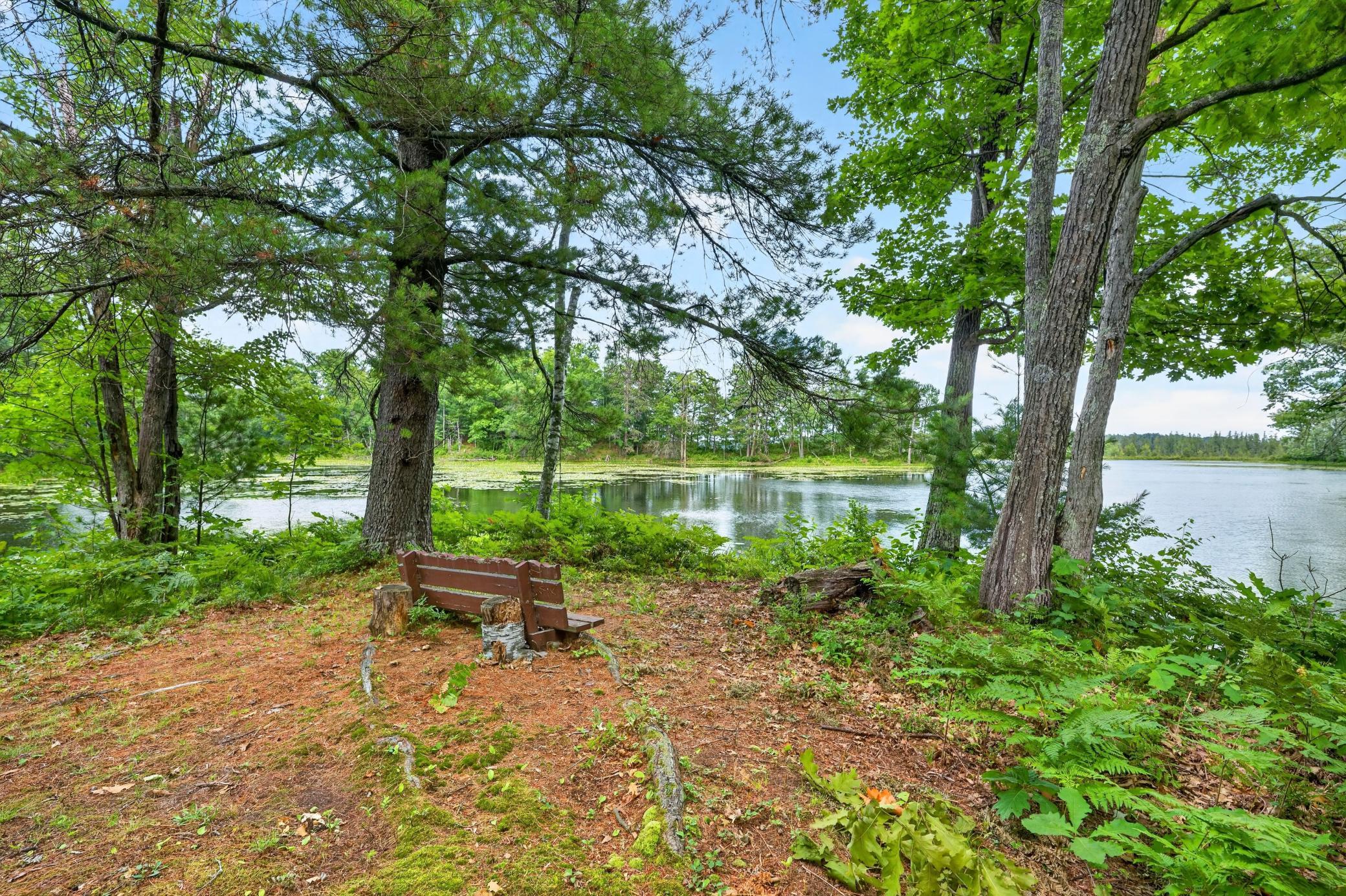 Lakeside bench - great place to meditate or read a book.