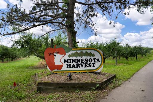 Apple Orchard nearby