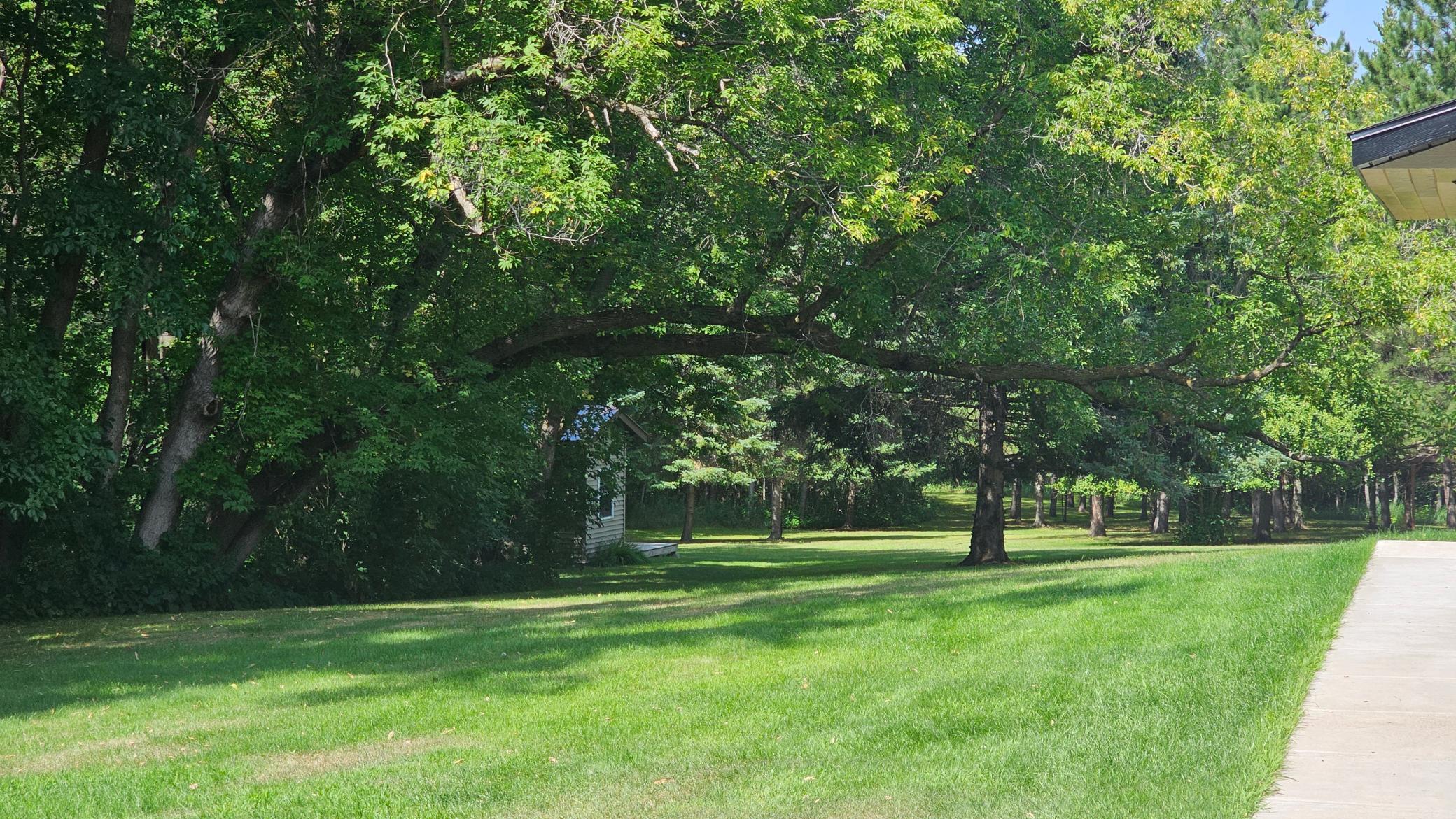 Beautiful Spacious Yard