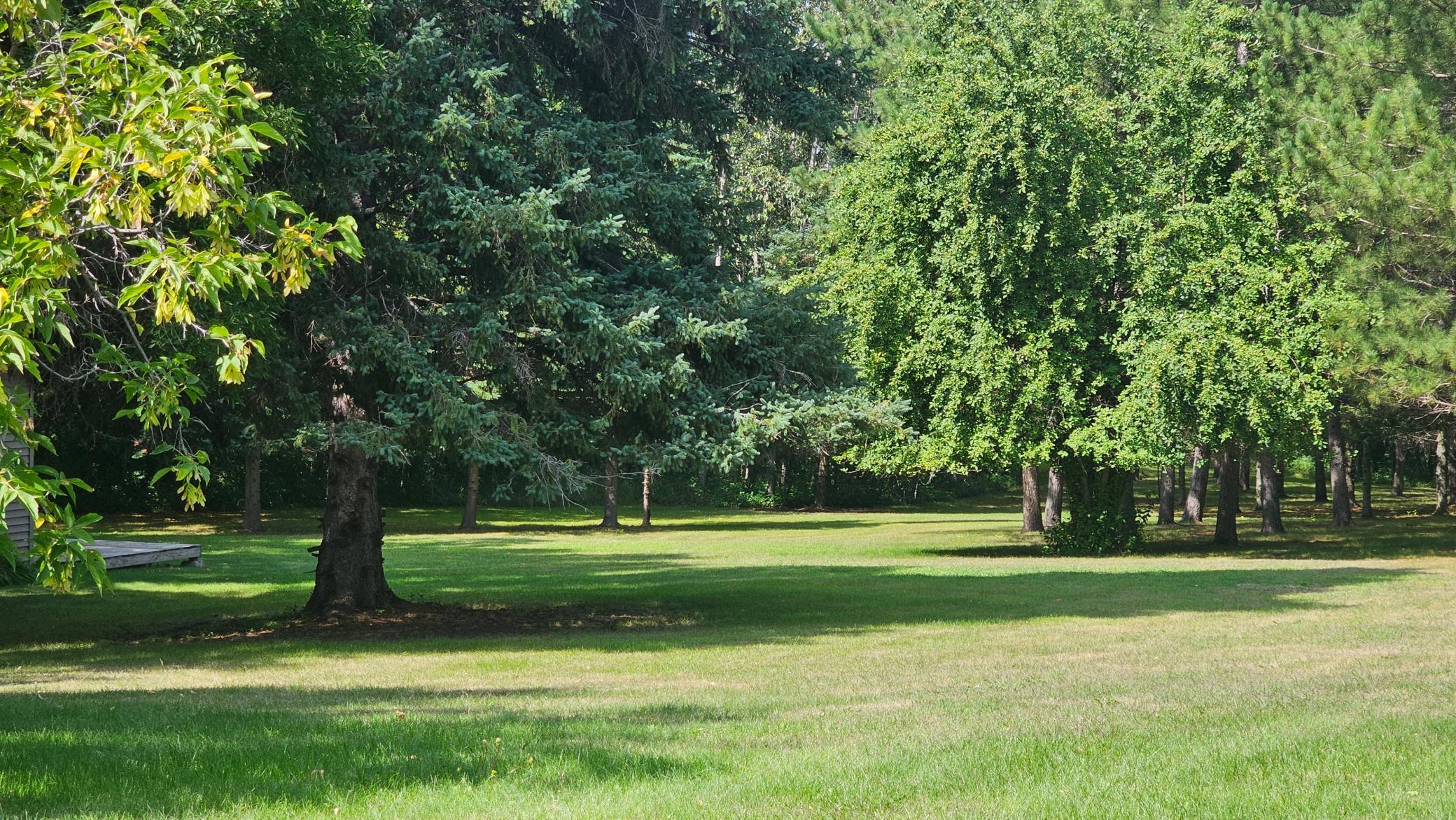Park like yard