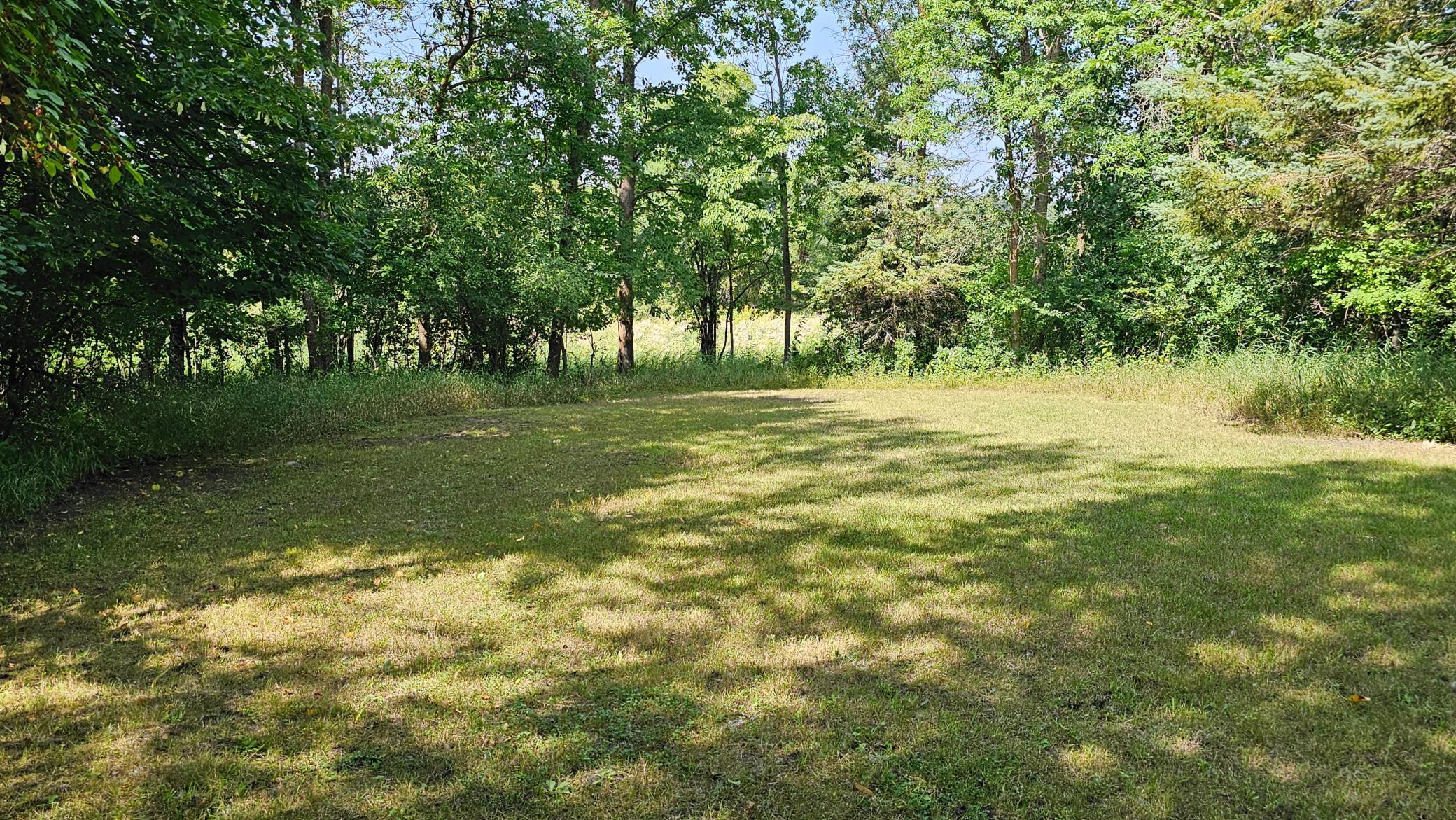 Looking East