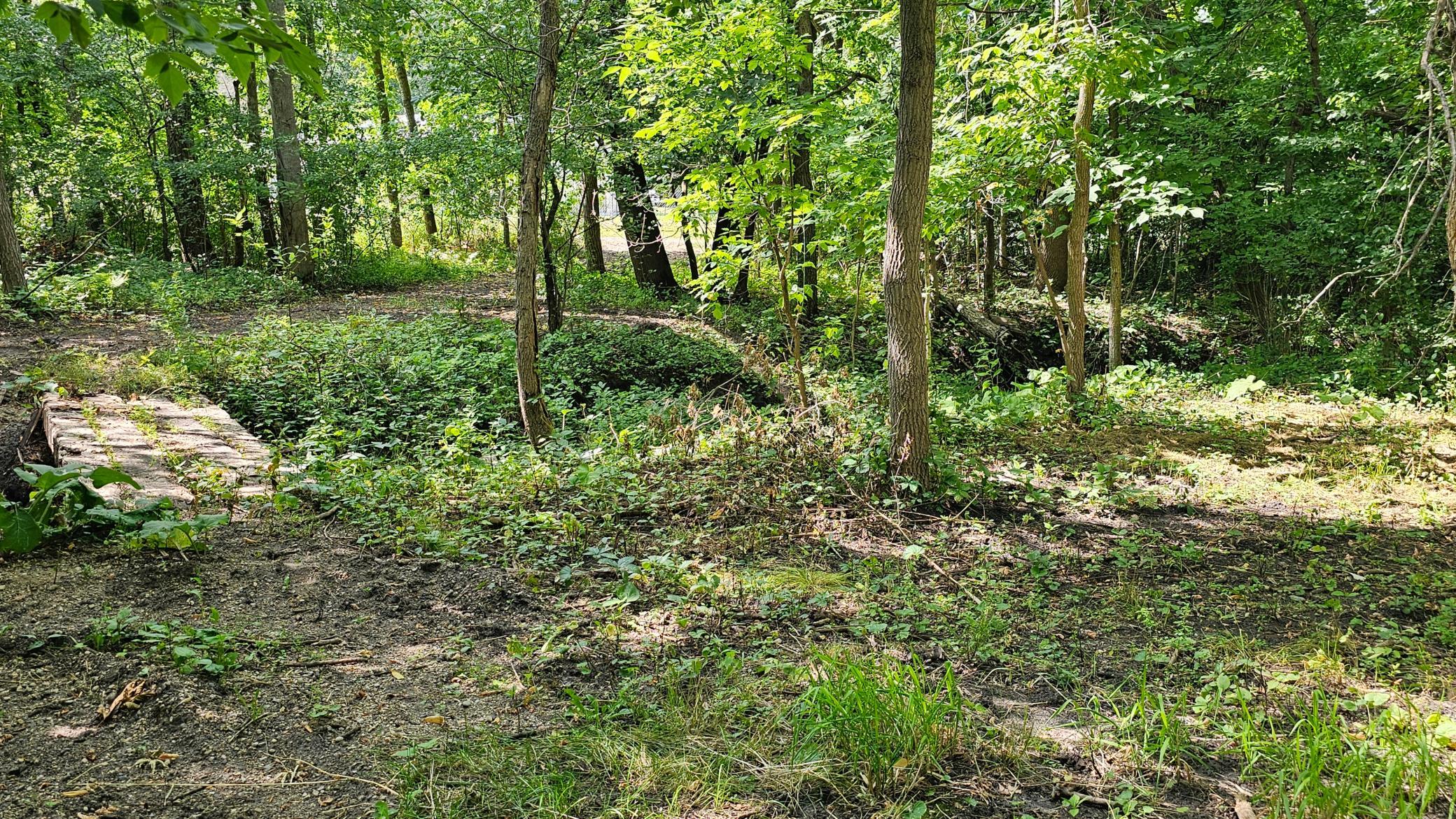Woodlands has creek running thru during spring or heave rains that heads to the River