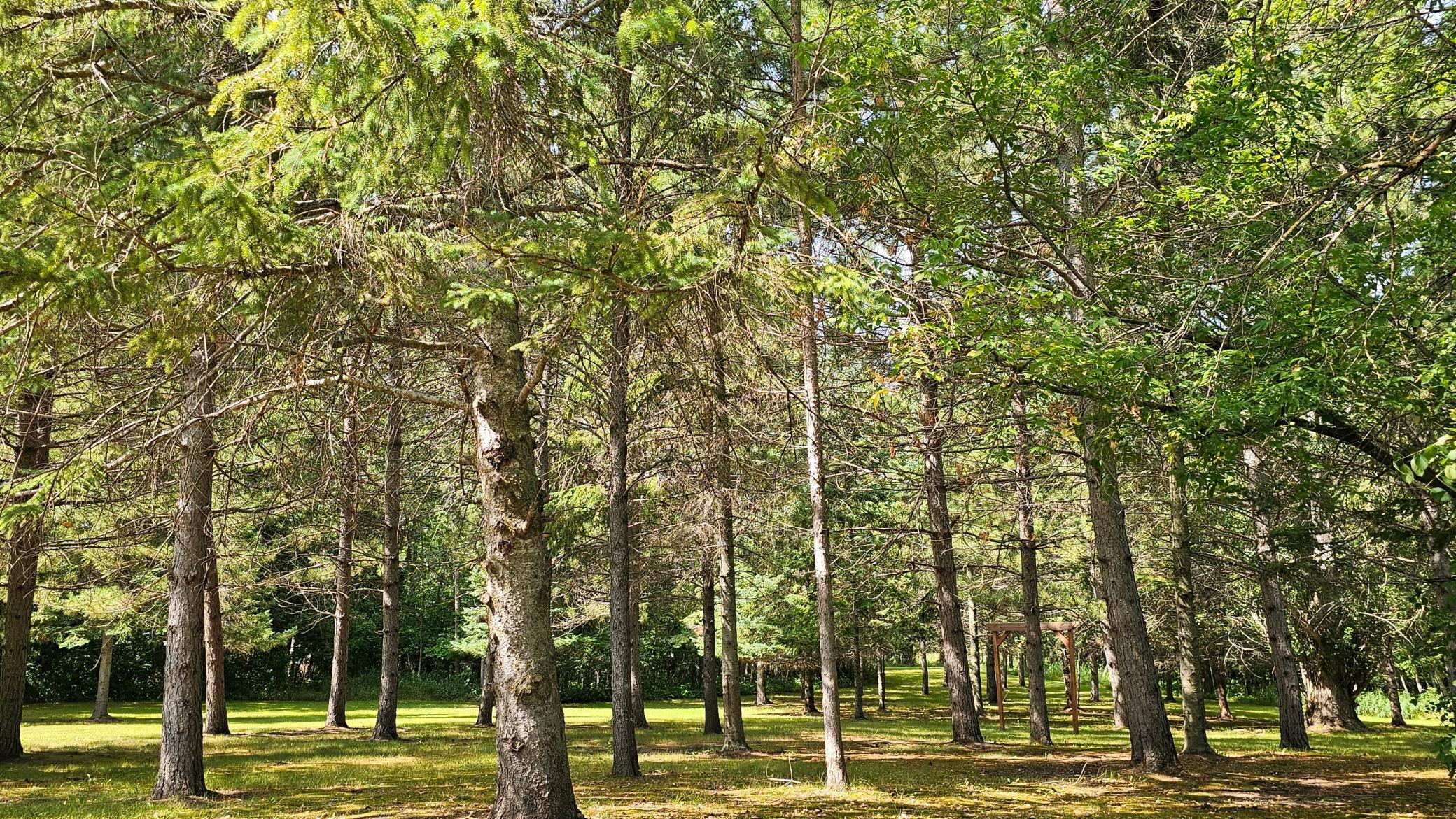 Some of 4.5 Acres is not in City Limits