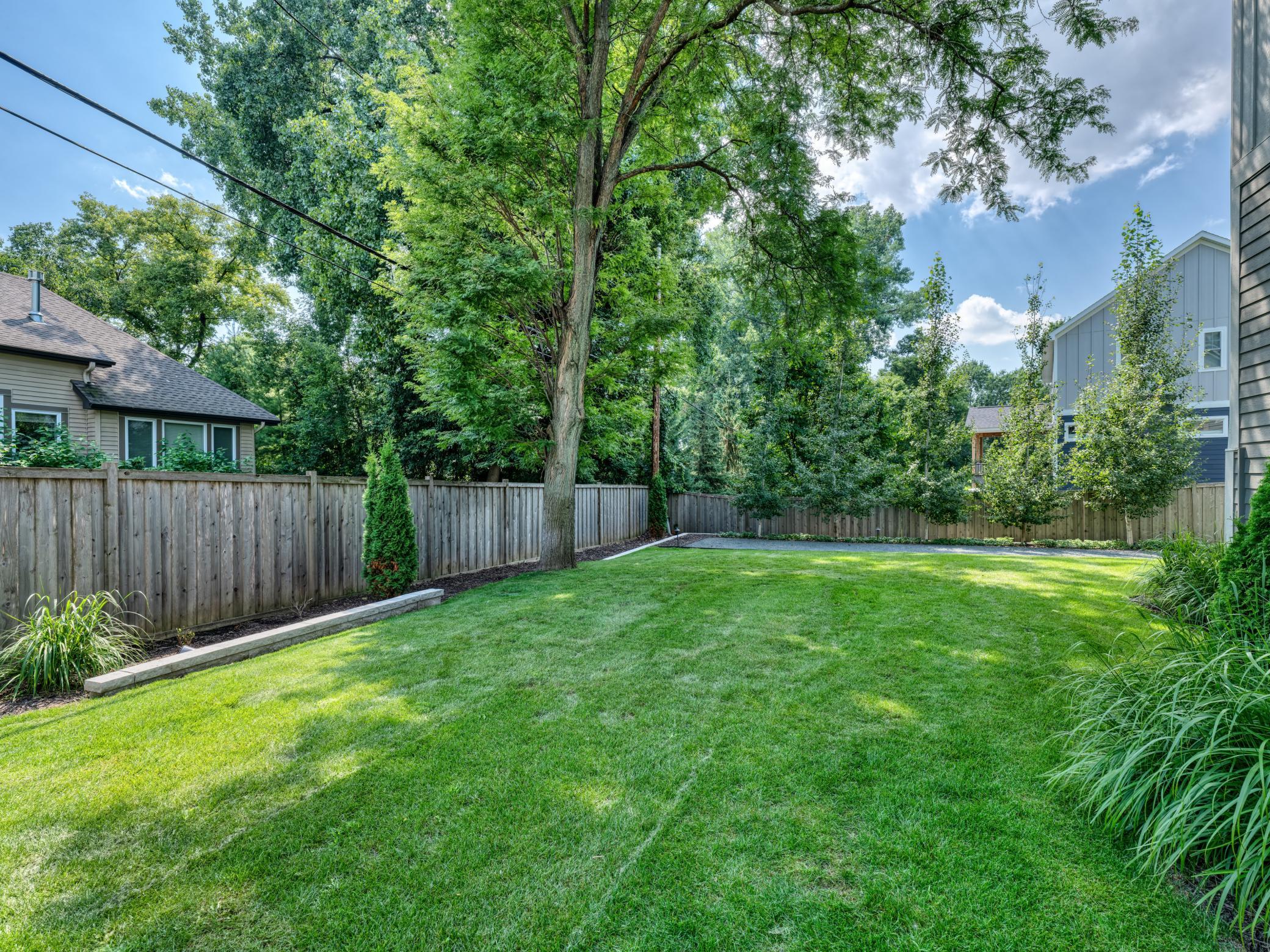 Flat Backyard