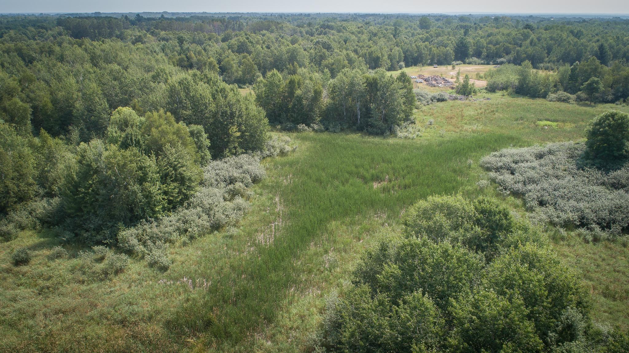 Nice land for Wildlife