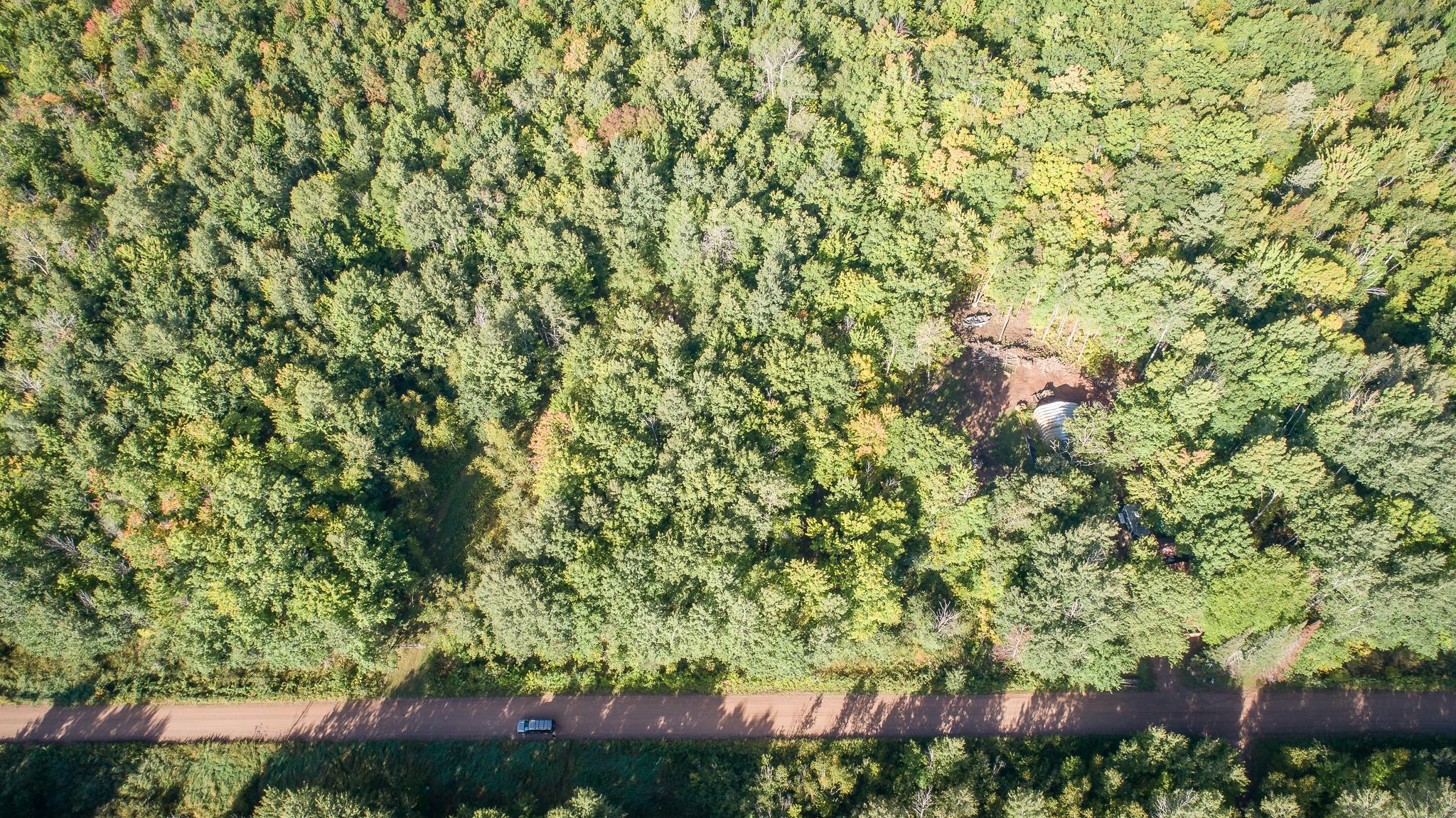Heavily Wooded