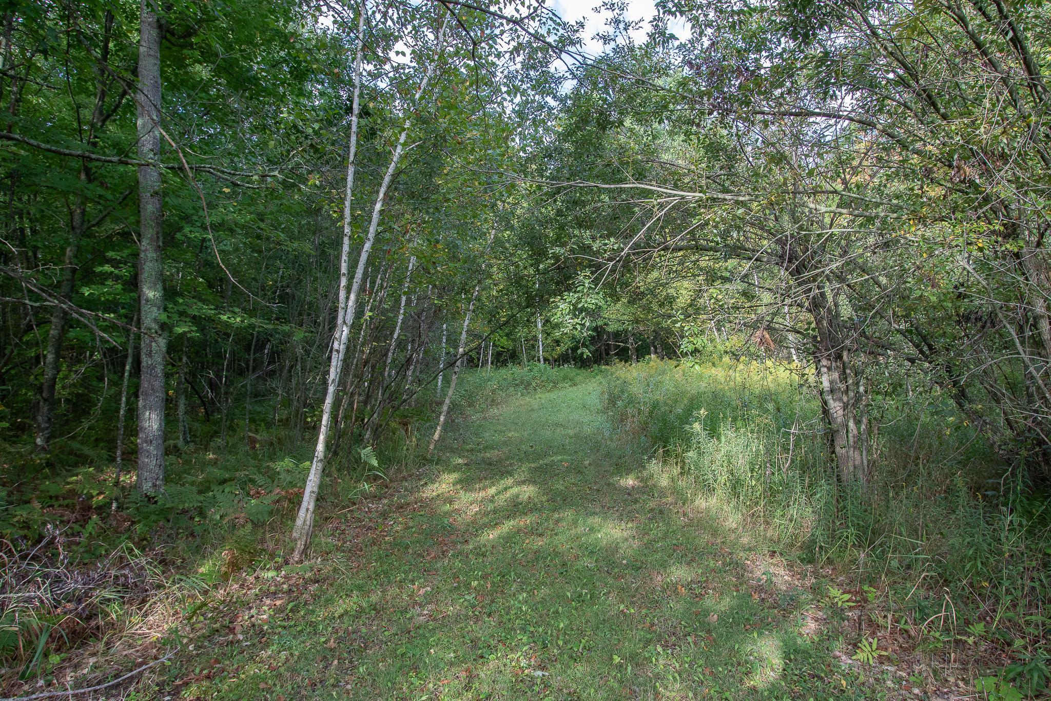 Trails will have grown a bit