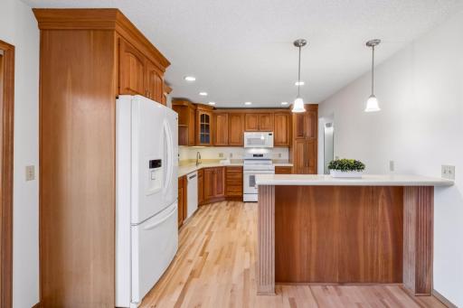 16015 Oak Shore Drive, Lakeville, MN 55044