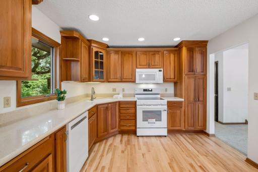 16015 Oak Shore Drive, Lakeville, MN 55044