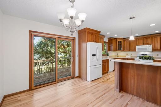 16015 Oak Shore Drive, Lakeville, MN 55044