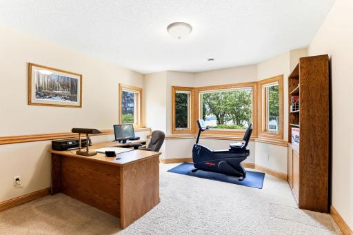Lower level bedroom or office with lake views