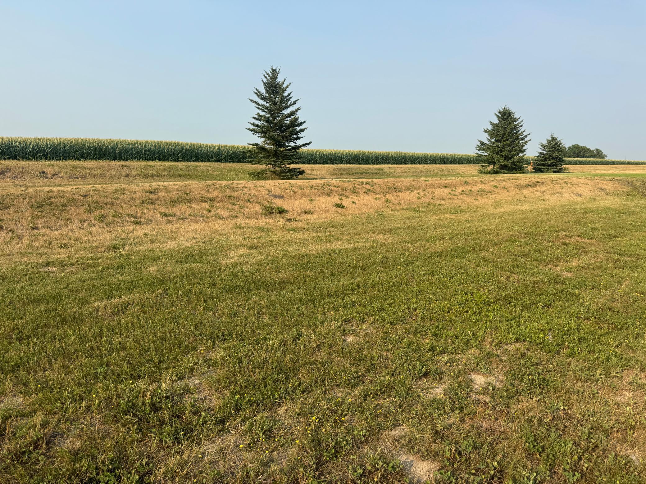 View of the back part of the lot with no backyard neighbors