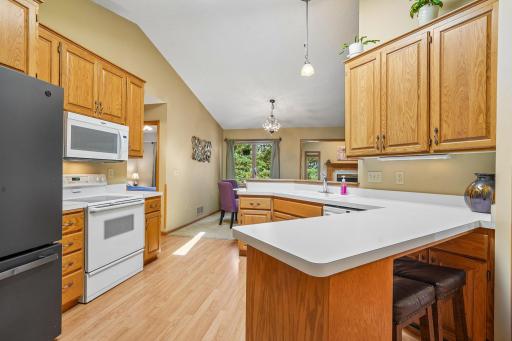 22-web-or-mls-Windsor Ln N-S0408-022.jpg