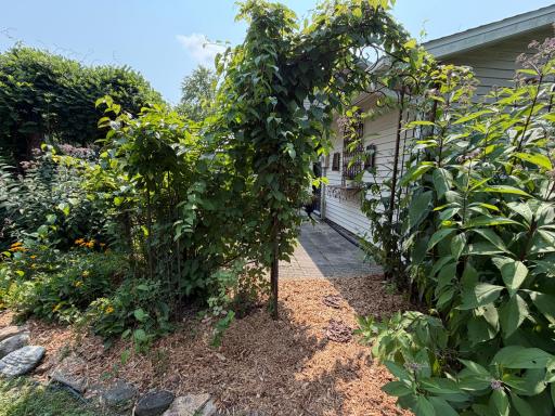 25215 720th Street, Hayfield, MN 55940