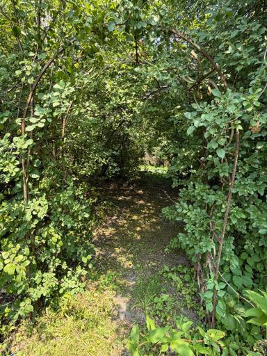 25215 720th Street, Hayfield, MN 55940