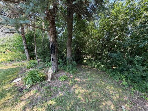 25215 720th Street, Hayfield, MN 55940