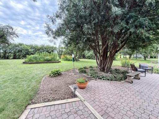 Backyard Patio