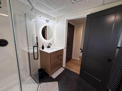 Lower Level Bathroom
