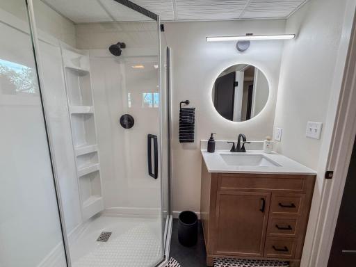 Lower Level Bathroom