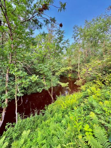 Warroad River- East Branch