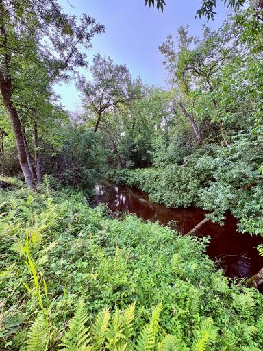 Warroad River- East Branch