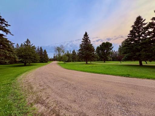 Loop driveway