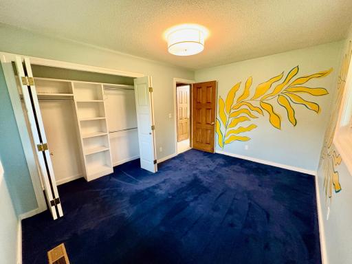 Bedroom 2- Custom closet