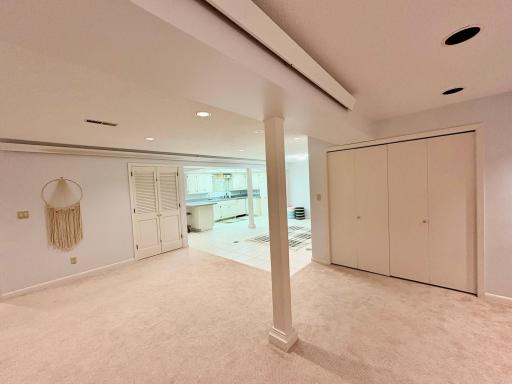 Basement entertainment area
