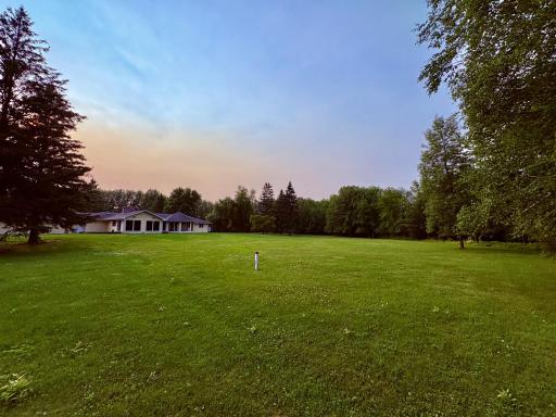 Back yard